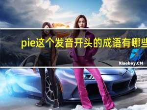 pie这个发音开头的成语有哪些