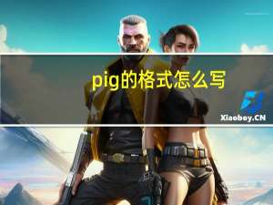 pig的格式怎么写