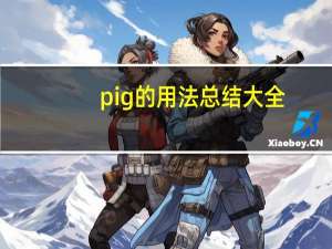 pig的用法总结大全
