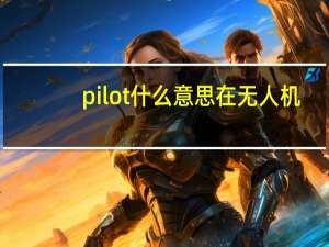 pilot什么意思在无人机（pilot什么意思）