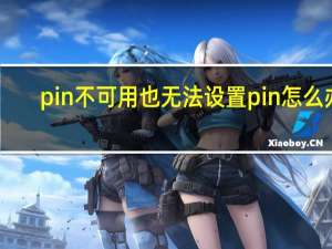 pin不可用也无法设置pin怎么办