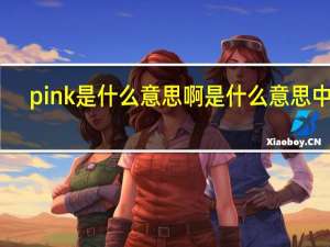 pink是什么意思啊是什么意思中文