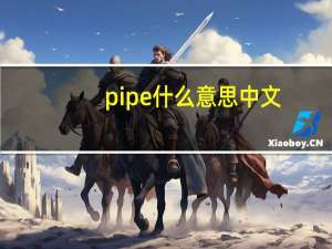 pipe什么意思中文