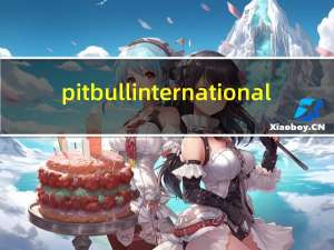 pitbull international（pitbull4）