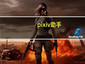 pixiv助手（pixiv18r）