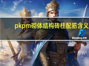 pkpm砌体结构砖柱配筋含义