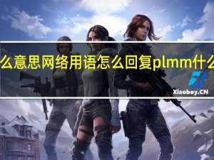 plmm什么意思网络用语怎么回复 plmm什么意思网络用语