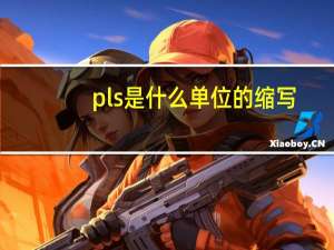 pls是什么单位的缩写