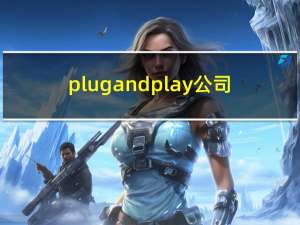 plug and play公司（plug and play）