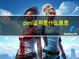 pmi证书是什么意思