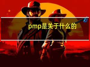 pmp是关于什么的