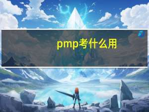pmp考什么用