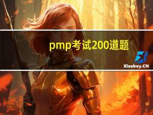 pmp考试200道题（pmp考试）