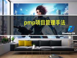 pmp项目管理手法