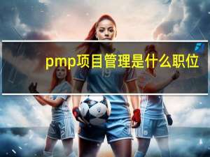 pmp项目管理是什么职位（pmp项目管理是什么）