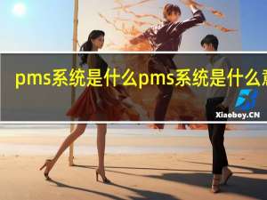 pms系统是什么 pms系统是什么意思