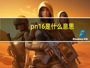 pn16是什么意思