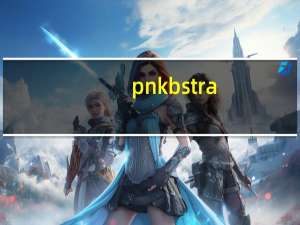 pnkbstra.exe（pnkbstra exe）