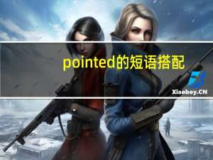 pointed的短语搭配