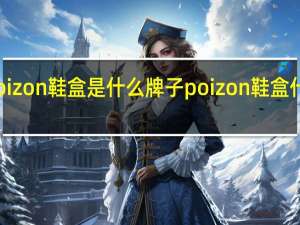 poizon鞋盒是什么牌子 poizon鞋盒什么意思