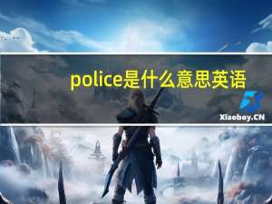 police是什么意思英语（pol是什么意思）