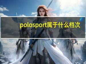 polosport属于什么档次