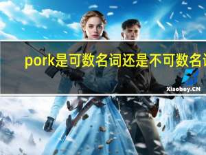 pork是可数名词还是不可数名词