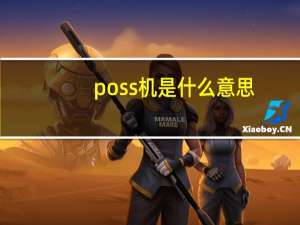 poss机是什么意思