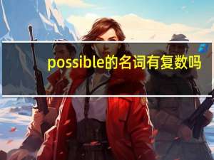 possible的名词有复数吗