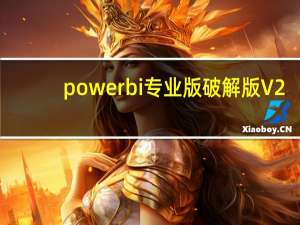 power bi专业版破解版 V2.47 中文免费版（power bi专业版破解版 V2.47 中文免费版功能简介）
