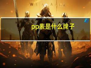pp表是什么牌子