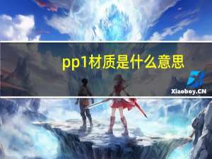 pp1材质是什么意思