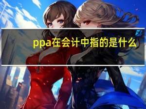 ppa在会计中指的是什么
