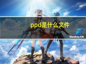 ppd是什么文件