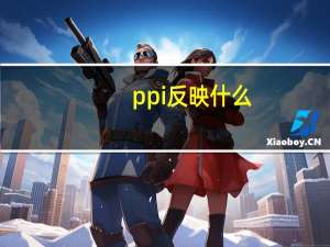 ppi反映什么