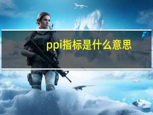 ppi指标是什么意思
