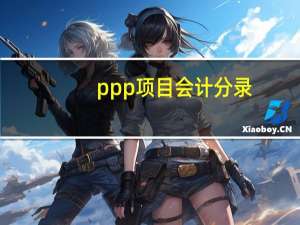 ppp项目会计分录