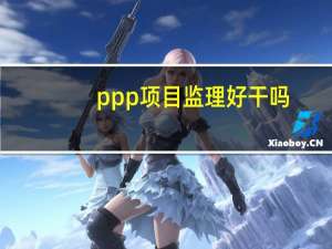 ppp项目监理好干吗