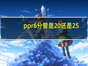 ppr6分管是20还是25（6分管是20还是25）