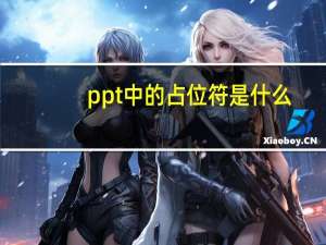 ppt中的占位符是什么