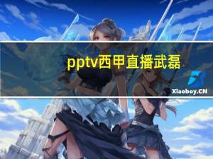 pptv西甲直播武磊（pptv云播）