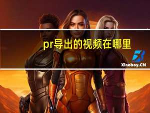 pr导出的视频在哪里