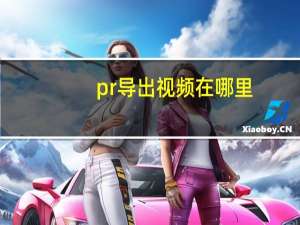 pr导出视频在哪里