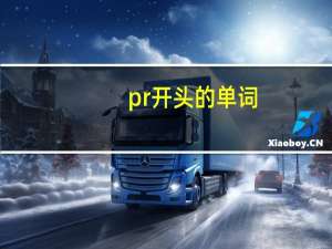 pr开头的单词