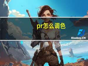 pr怎么调色