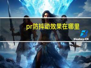 pr防抖动效果在哪里