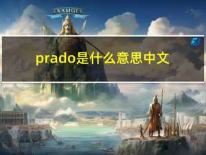 prado是什么意思中文（prado是什么意思）