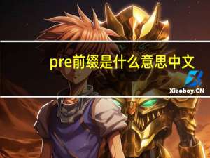 pre前缀是什么意思中文