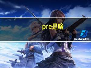 pre是啥
