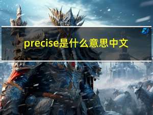 precise是什么意思中文（precise）